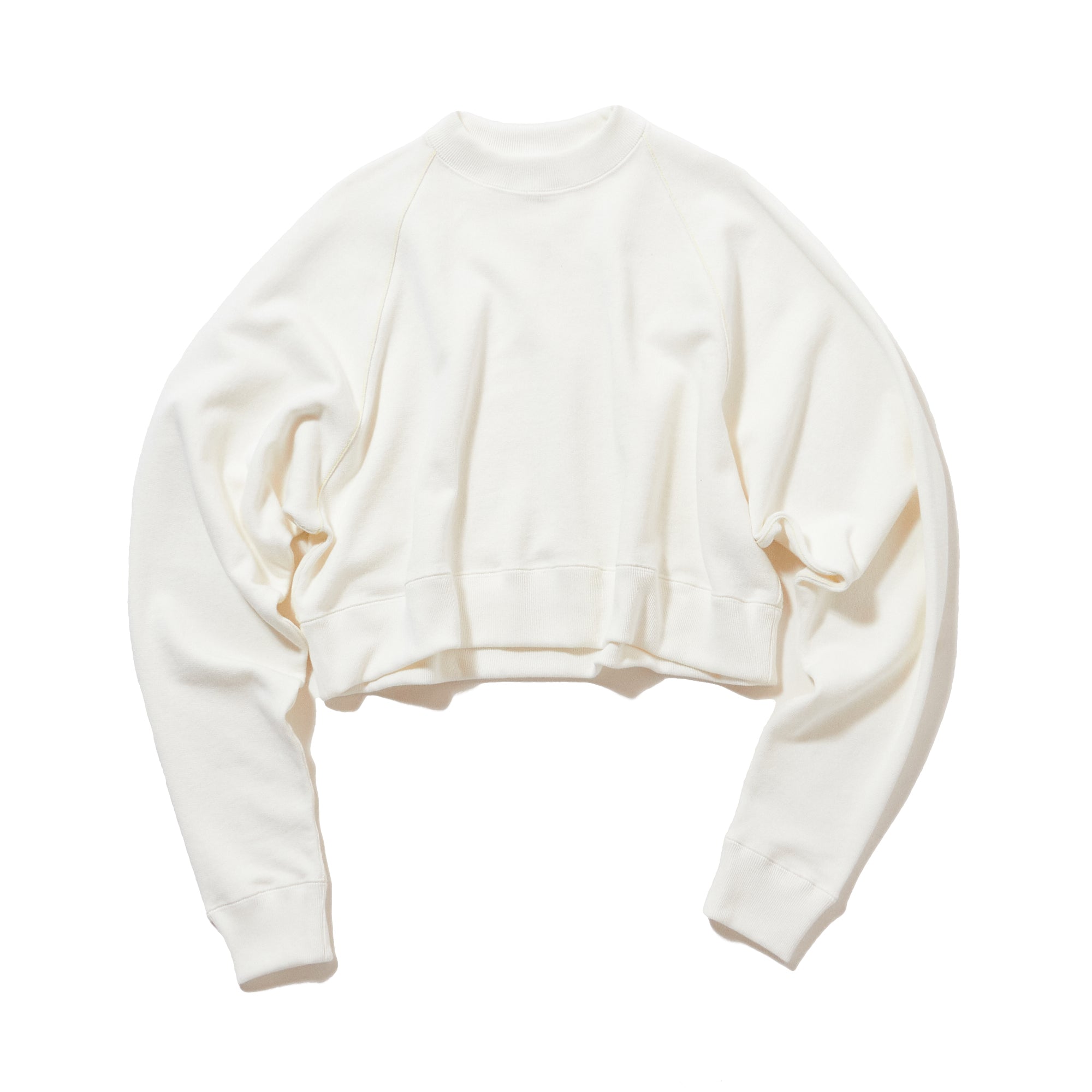 American dry sweat / WHITE